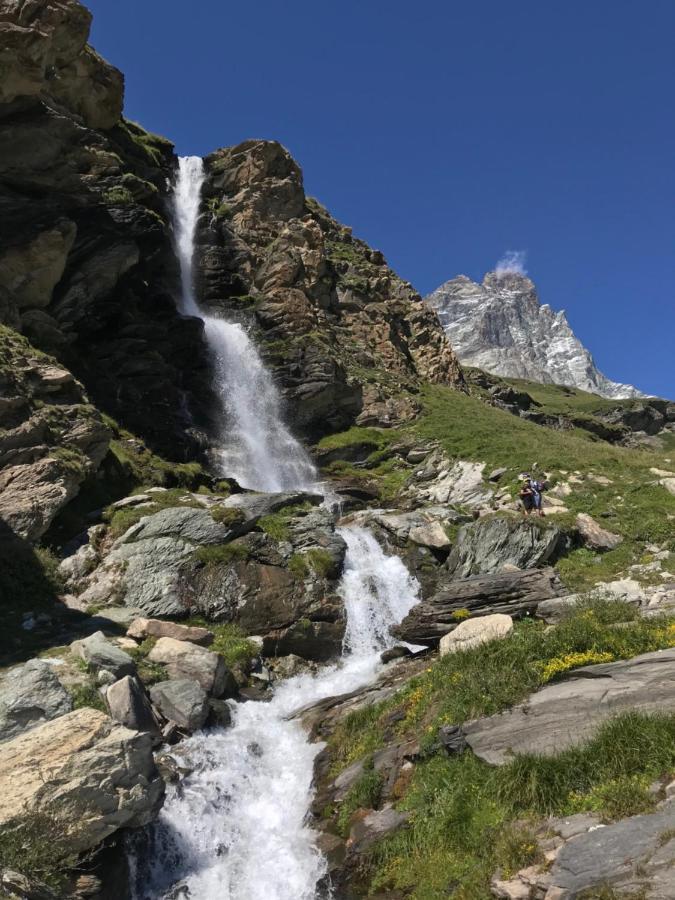 Chat Des Neiges - Cervinia 布勒伊-切尔维尼亚 外观 照片